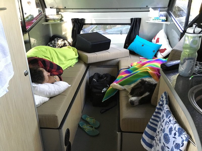 interior of Alto 1713 with girl and border collie taking an afternoon nap during a springtime adventure glamping weekend near Orillia