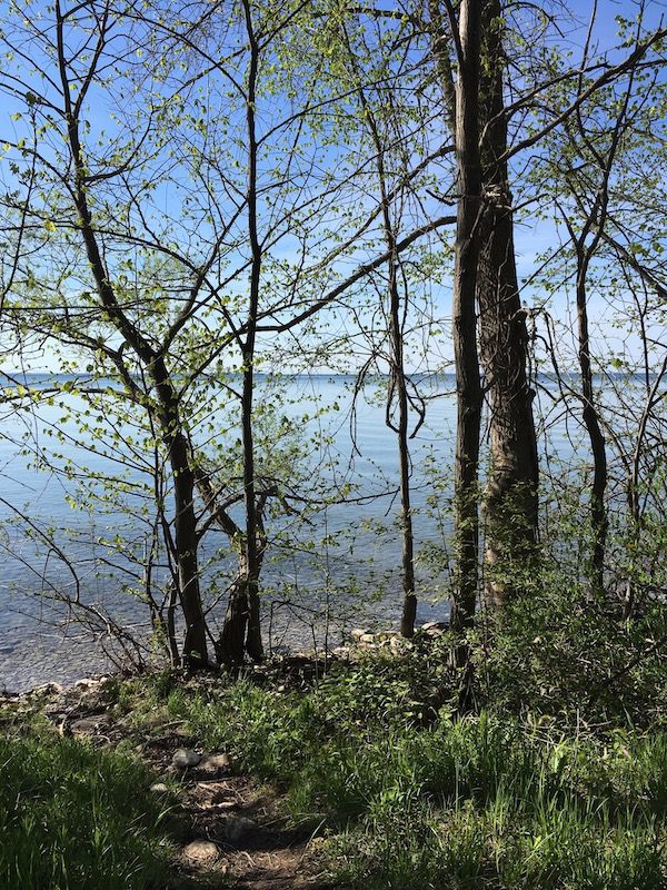 view over Lake Simcoe from Water's Edge Trail, South Campground