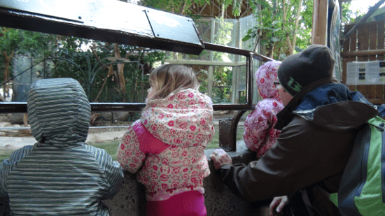 Our monkeys checking out one of the primate exhibits.