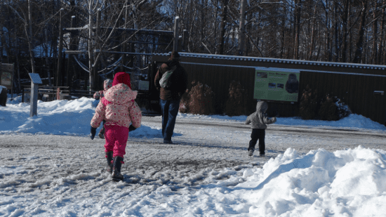 The Ultimate Snow Day! I hope it is not too long before we return again.