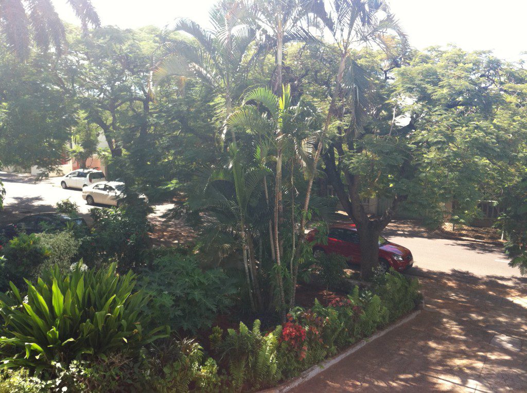 The tropical plant life in Maputo was fun to look at.