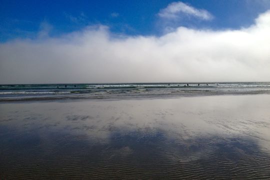 Tofino surfing.