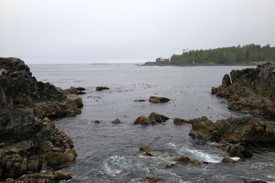 Hot Springs Cove, Tofino, BC