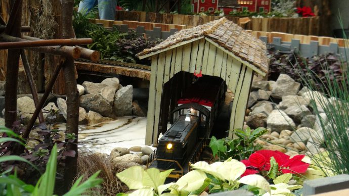 RBG Train Show