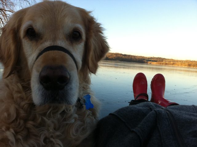 Satchmo and the Roamancing Red Boots at Cootes Paradise