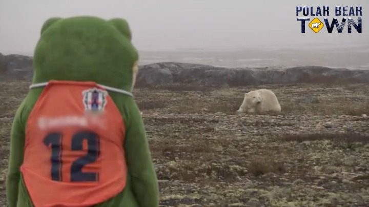 Someone dressed up as a frog, watching a Polar Bear in Churchill, Manitoba.