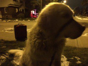 Colombian New Year's Eve Tradition