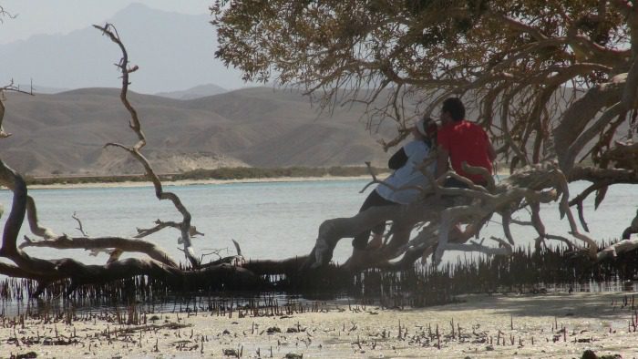 A couple taking in the beauty of Wadi El Gamal.