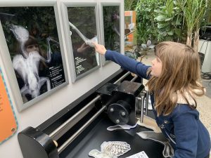 Young girl pointing to X-Rays of rescued wildlife.