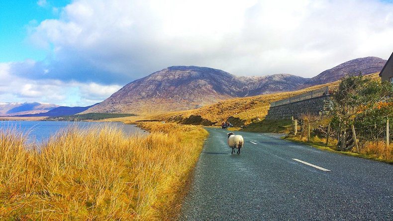 Connenmara along the Wild Atlantic Way, as photographed by Larah Vidotto.