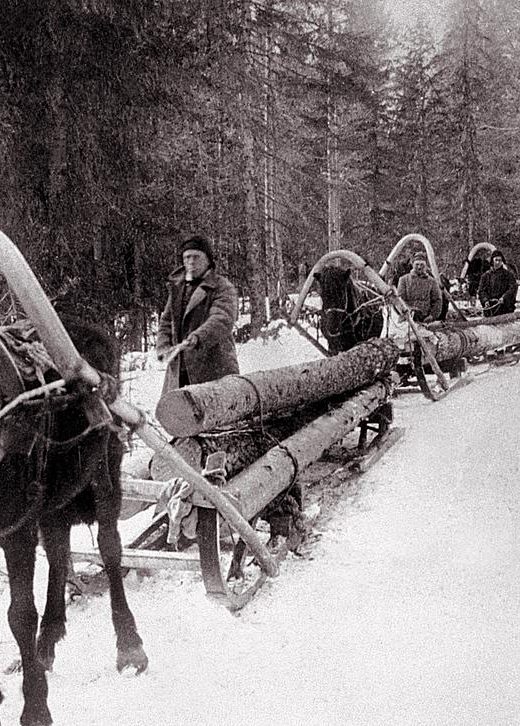 Labouring as forestry workers in the freezing temperatures of Siberia, as part of a worker's army under the Gulag.