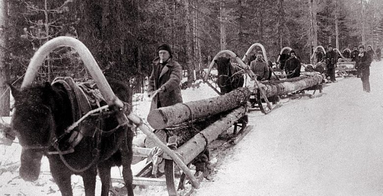 Labouring as forestry workers in the freezing temperatures of Siberia, as part of a worker's army under the Gulag.