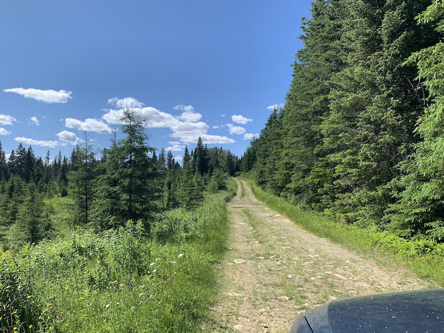 One Way New Brunswick Back Road