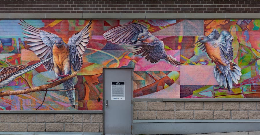An colourfully abstract mural of the once  abundant passenger pigeons, that have since faded away into extinction.