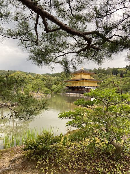 Kinkaku-ji, the Temple of the Golden Pavilion, across a pond and surrounded by trees.