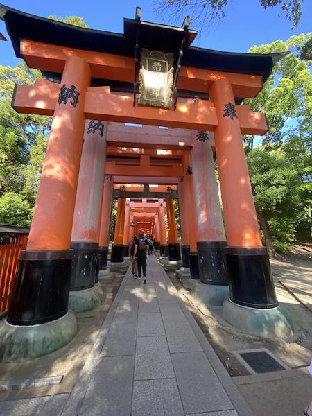 Red pillard Thousand-Torii Path at Fushimi Inari Taisha