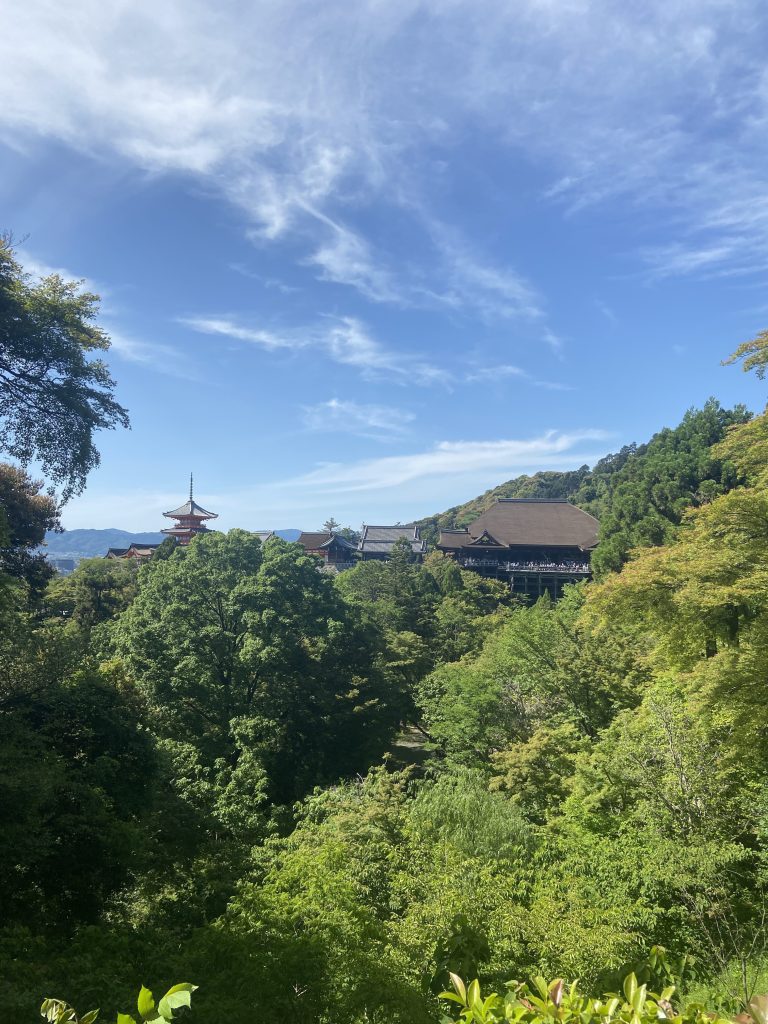 View of Tenryu-ji Temple through the forest.