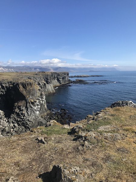 Arnarstapi cliffs.