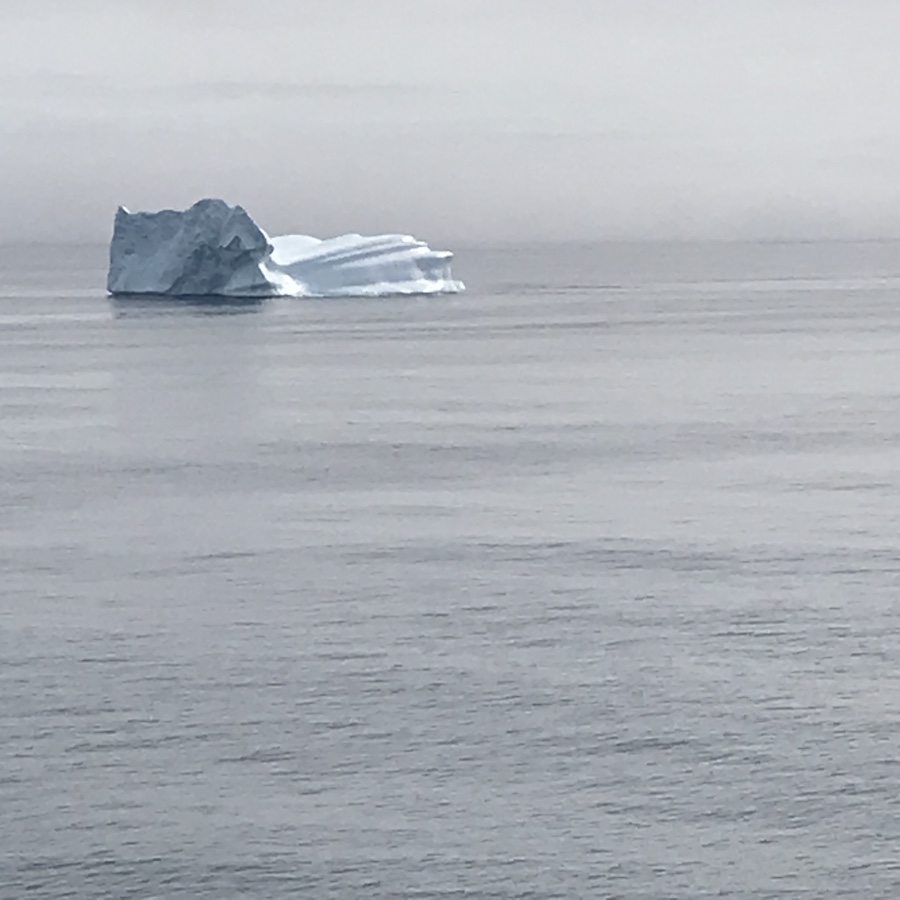 Our very first iceberg.