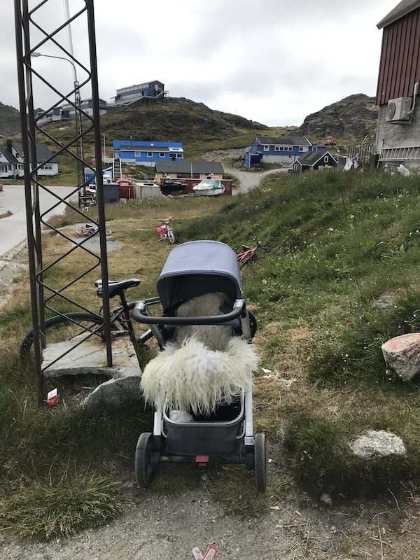 A fur lined pram in Paamiut, Greenland.