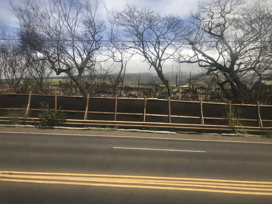 A view of the fire devastation in Lahaina from the bus.