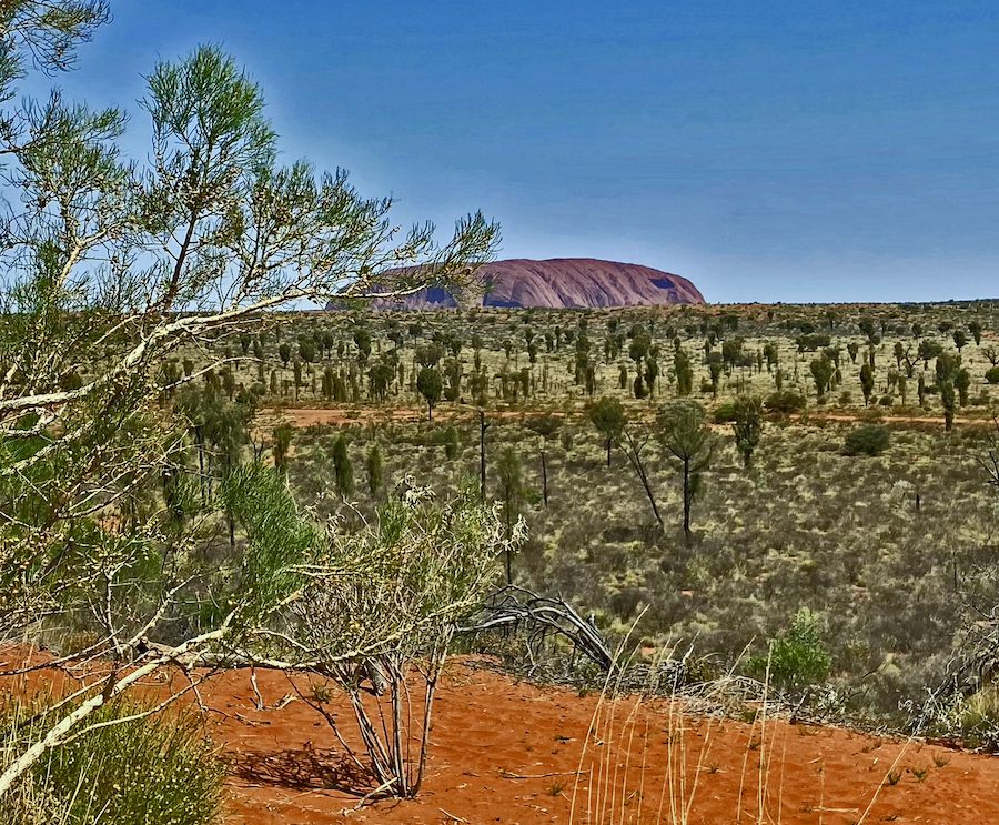 Dry scrub, red sandy earth and Uluru.