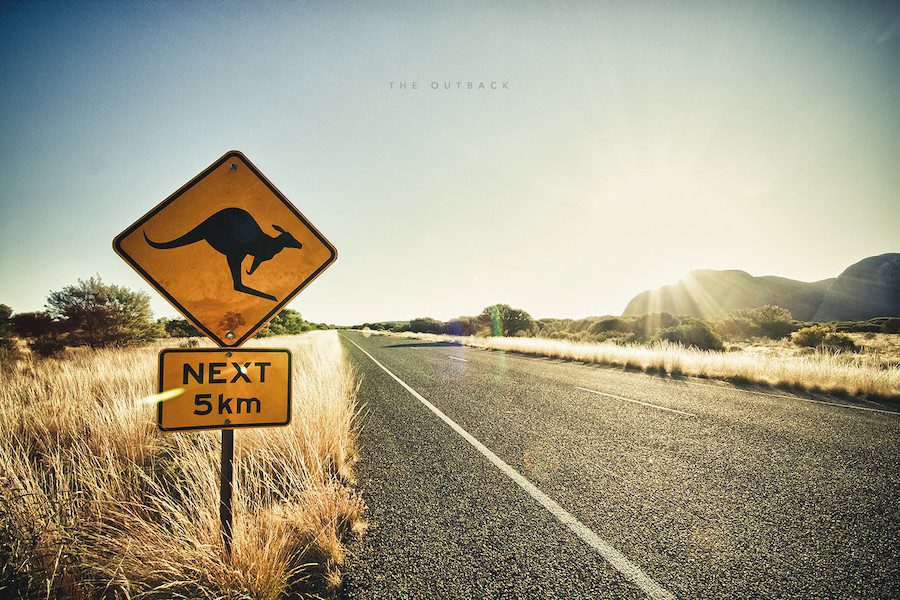 Kangaroo Crossing in Australia's Outback