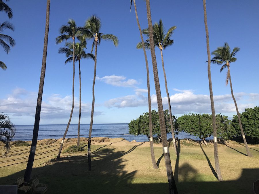 Palm trees in front of Leilani Kai Resort.