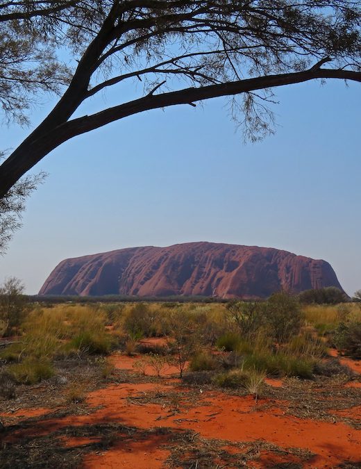 Uluru stands like a freshly baked loaf on the dry, dusty landscape.