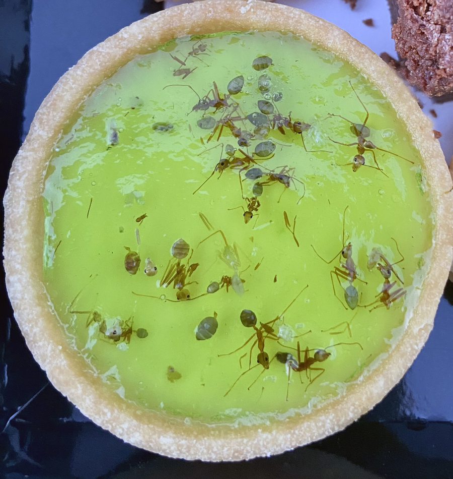 Lime tart sprinkled with green ants.