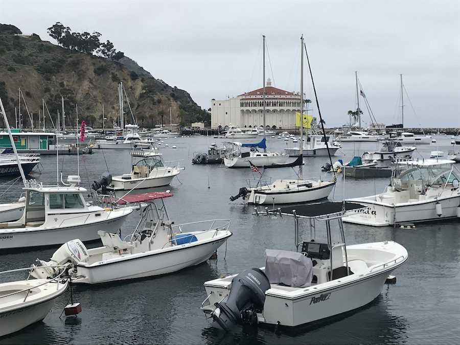 Boats in Avalon Harbour on Santa Catalina Island