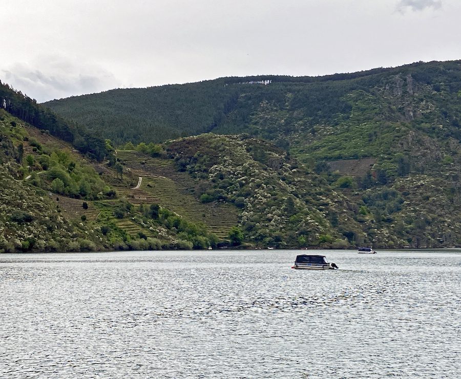 Terraced Ribeira Sacra vineyards hugging the slopes.