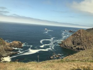 The Baja California Coast of Mexico