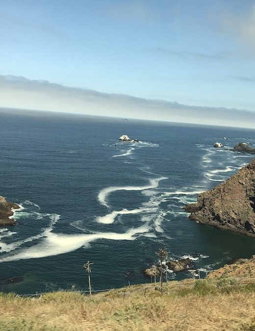 The Baja California Coast of Mexico