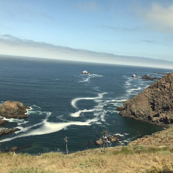 The Baja California Coast of Mexico