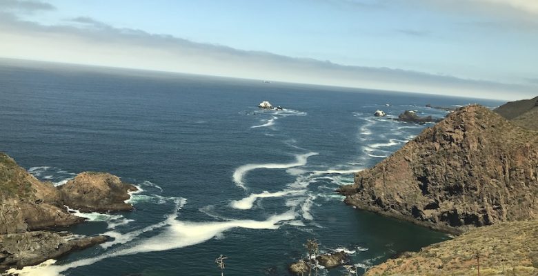 The Baja California Coast of Mexico