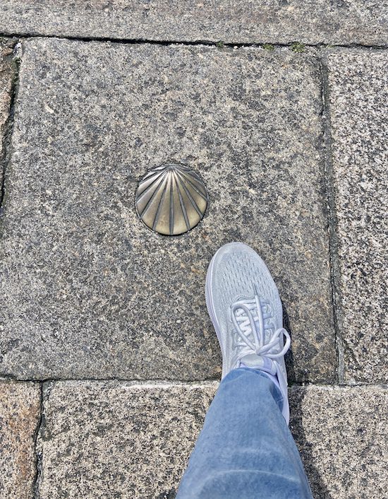 The scallop shell embedded in the road indicates this is a camino that will lead to Santiago de Compostela.