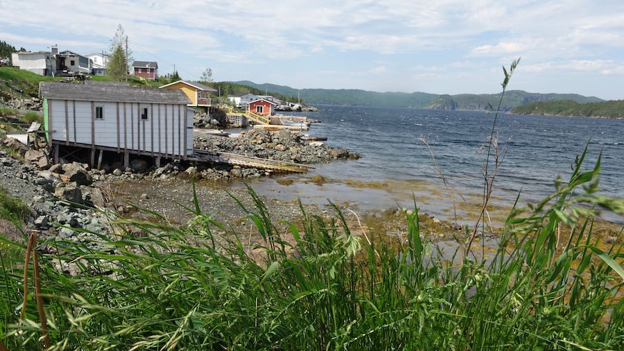 The picturesque coastline of Cobbler's Tickle with its colourful houses in Brighton, Newfoundland.