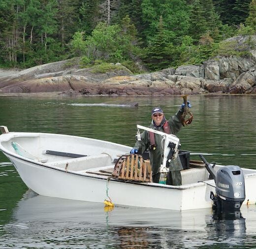 Mike Roberts of Badger Bay Boat Tours displays a large lobster from his boat.