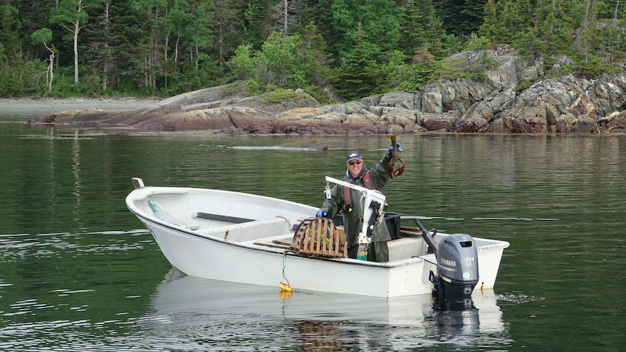 Mike Roberts of Badger Bay Boat Tours displays a large lobster from his boat.