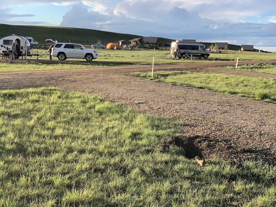 Frenchman Valley Campground in Grassland National Park