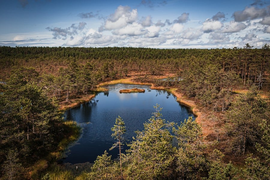 A lake in Lahemaa National Park, as photographed by Hibiki Hosoi care of UnSplash.