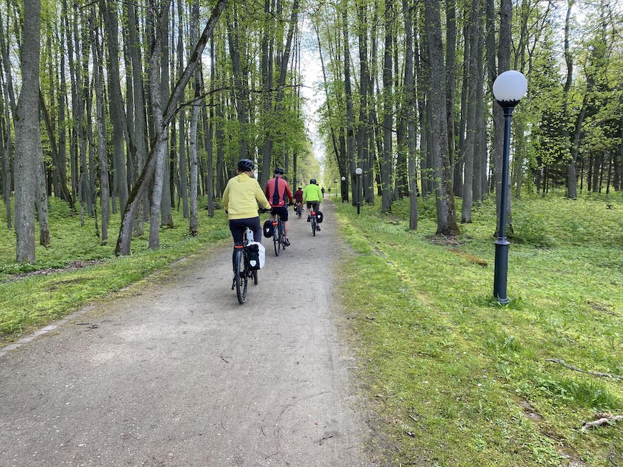 Our Exodus Adventure Travels group cycling through an Estonian forest.