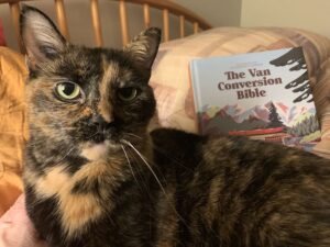 Tortoiseshell Cat and the Van Conversion Bible