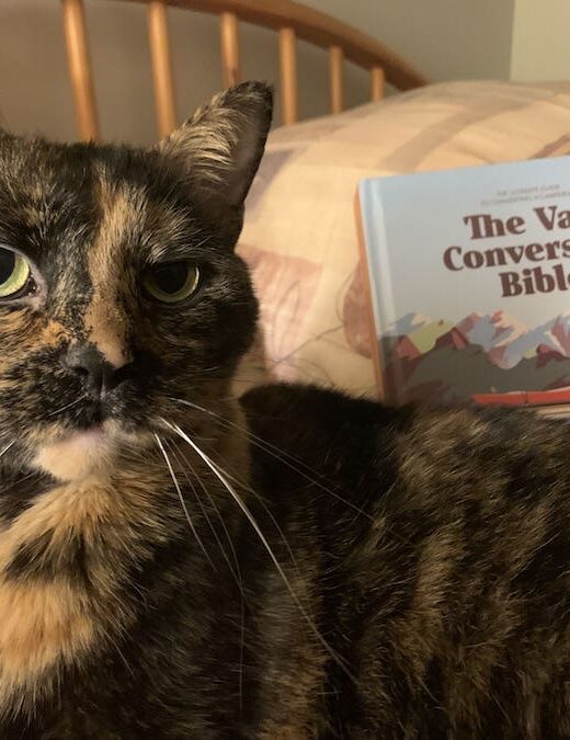 Tortoiseshell Cat and the Van Conversion Bible