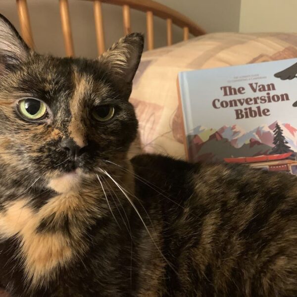 Tortoiseshell Cat and the Van Conversion Bible