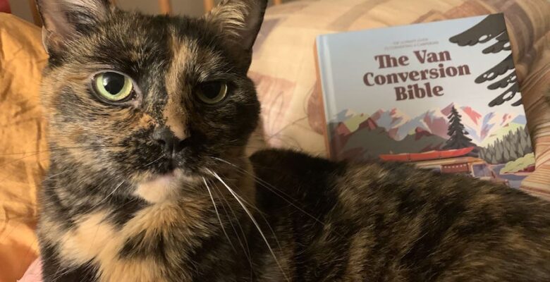 Tortoiseshell Cat and the Van Conversion Bible