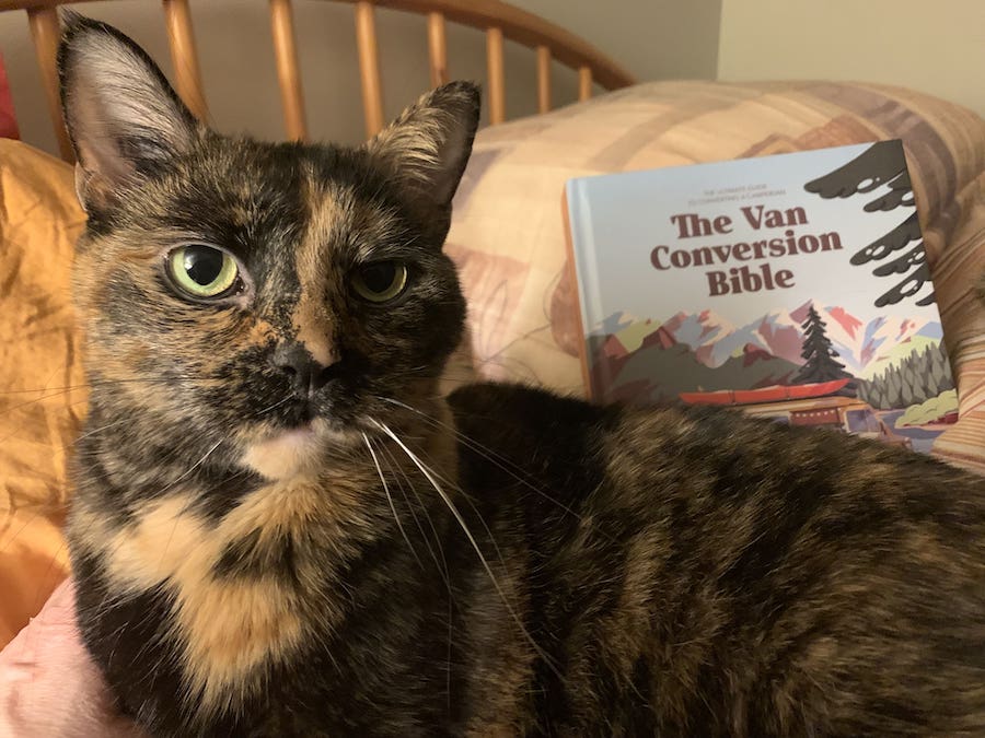 Tortoiseshell Cat and the Van Conversion Bible
