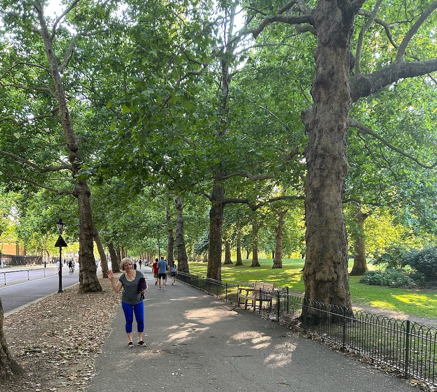 Vera on Birdcage Walk