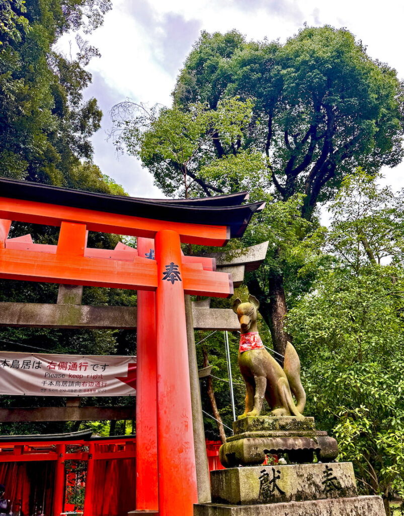 A fox guards the red torii gate at Fushimi Inari-Taisha Shrine.